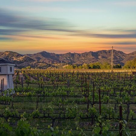 Chateau De Vie Calistoga Dış mekan fotoğraf